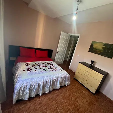 Open Door تيرانا